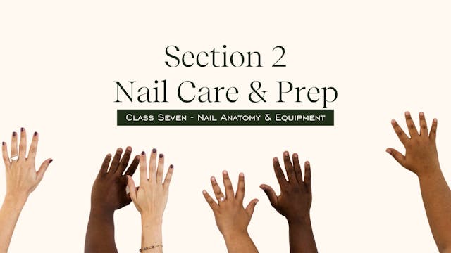 The Nail Hub Nail School - Advanced DIY - Level 1 Class 7
