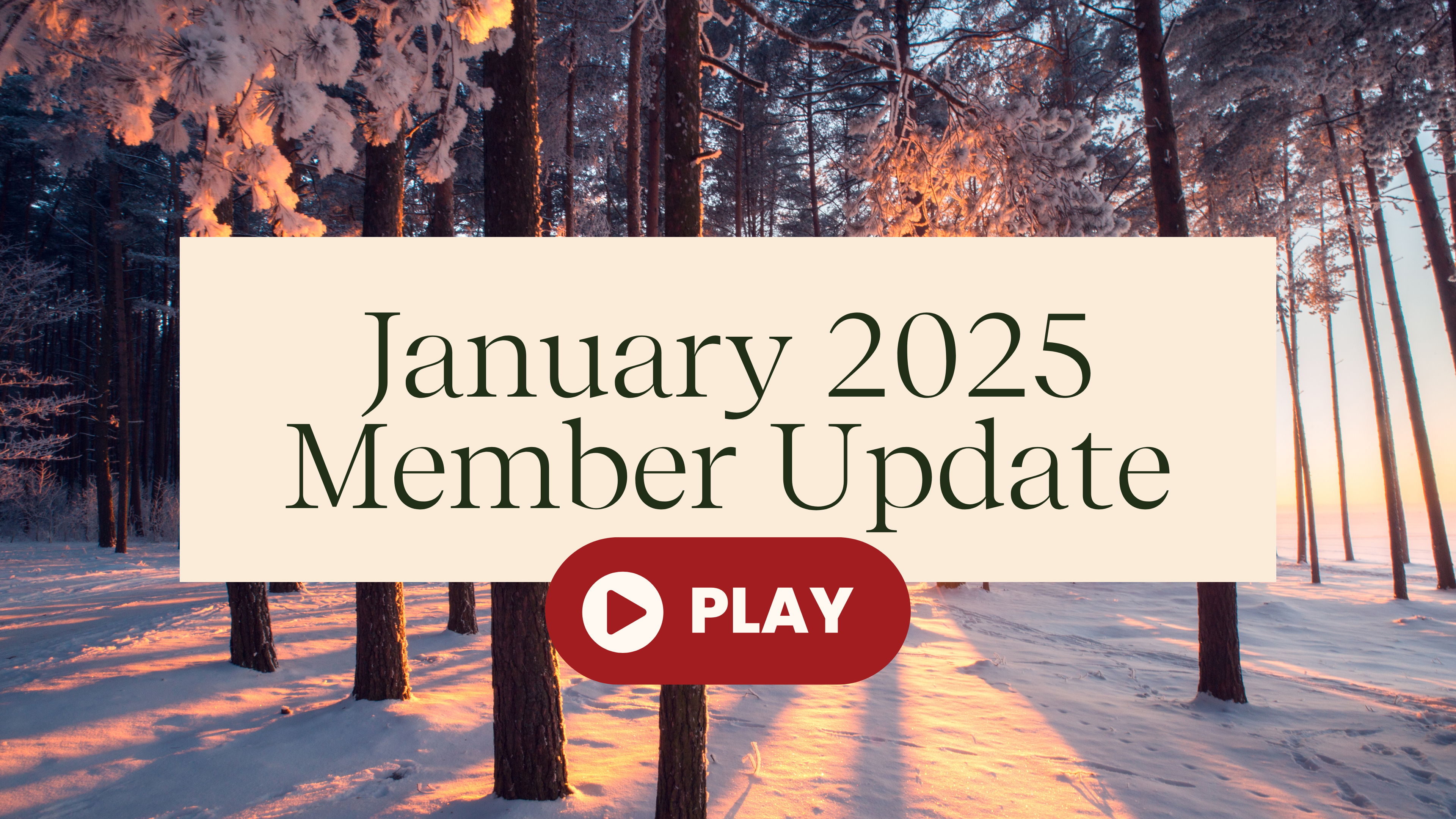 Member Check-In January 2025