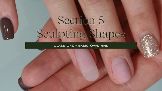 Level 4 Course - Class 15