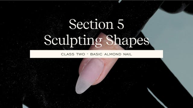 Level 4 Course - Class 16