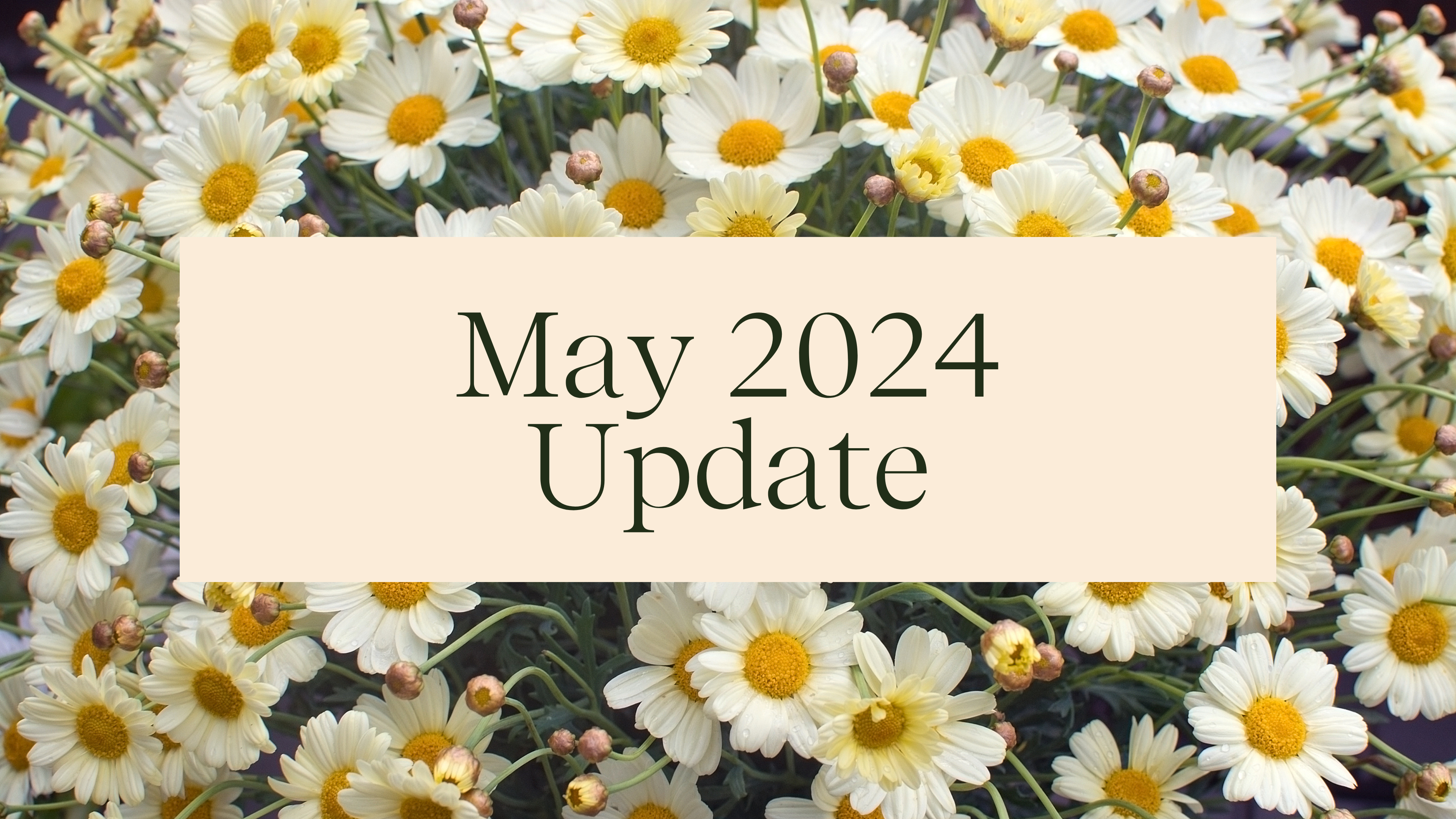 Member Check-In May 2024