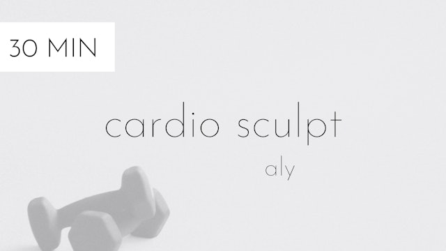  cardio sculpt #33 | aly