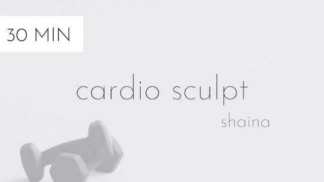 cardio sculpt #17 | shaina