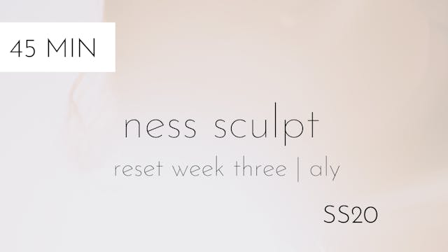 ss20 reset week three | ness sculpt #2 with aly