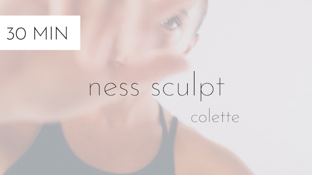 ness sculpt #13 | colette