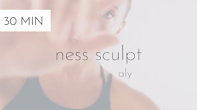 ness sculpt #33 | aly