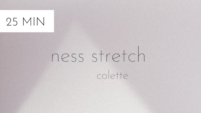 ness stretch #3 | colette