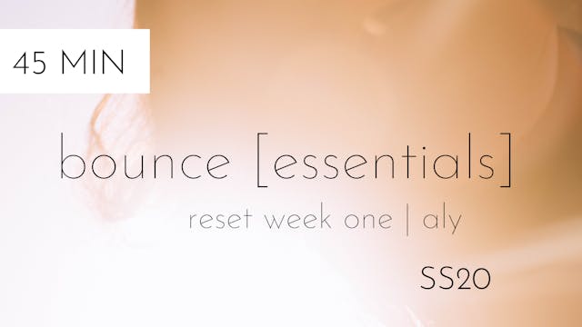 ss20 reset week one | bounce [essentials] #2 | aly 