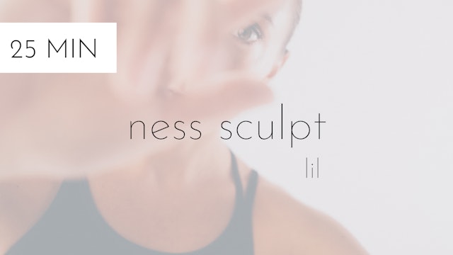 ness sculpt #16 | lil