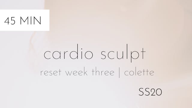 ss20 reset week three | cardio sculpt #1 with colette