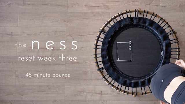 bounce intermediate week three | colette