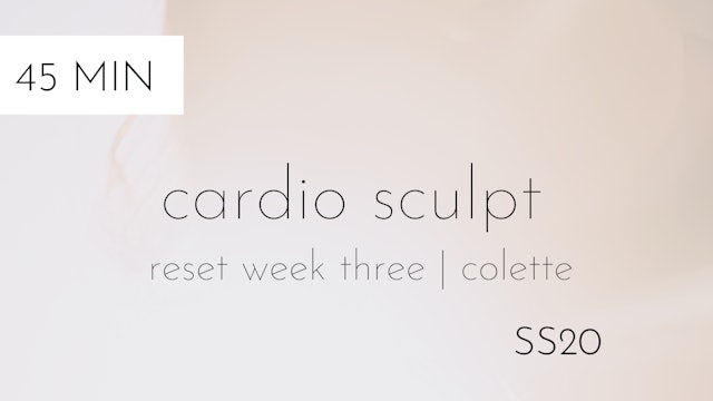 ss20 reset week three | cardio sculpt #4 with colette