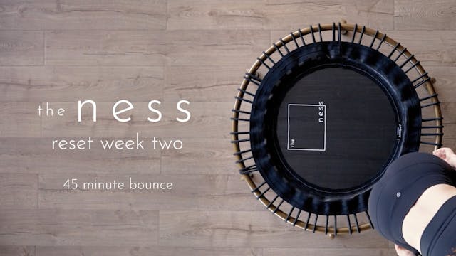 bounce essentials week two | colette