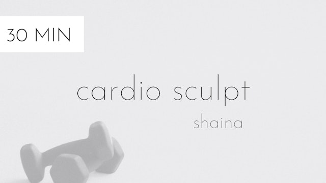 cardio sculpt #29 | shaina