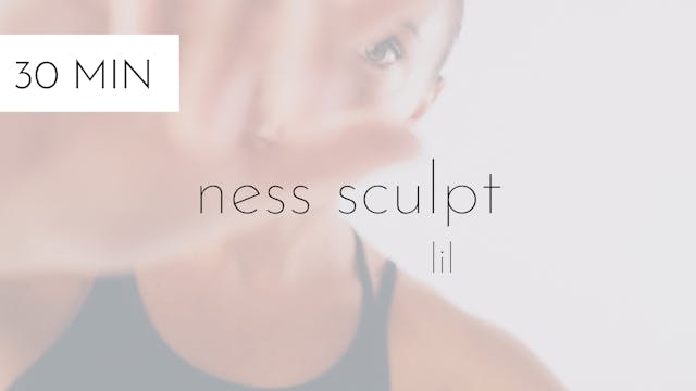 ness sculpt #24 | lil
