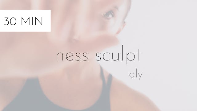 ness sculpt #3 | aly