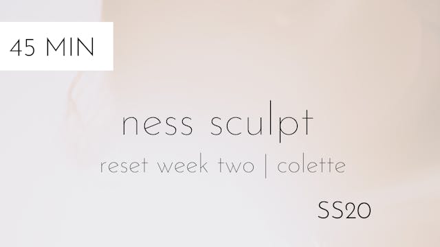 ss20 reset week two | ness sculpt #1 ...