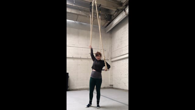 Module: part 1 / bar "hips to ropes and back again"