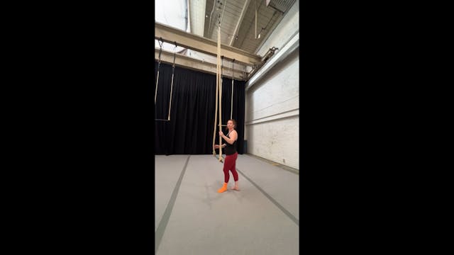 717: Full sequence with a detailed ta...