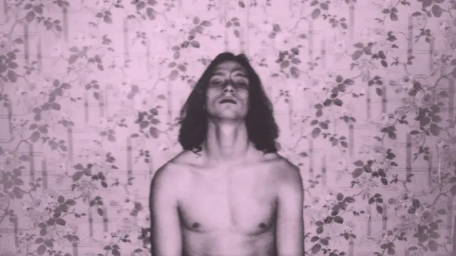 Le Coeur du Masturbateur / The Mastur...