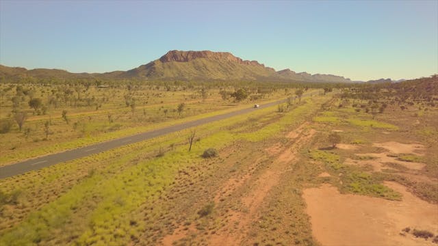 Asylum - Night Tongue