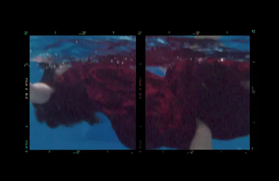 Bloodied Fjords - Fury of a Dying Planet