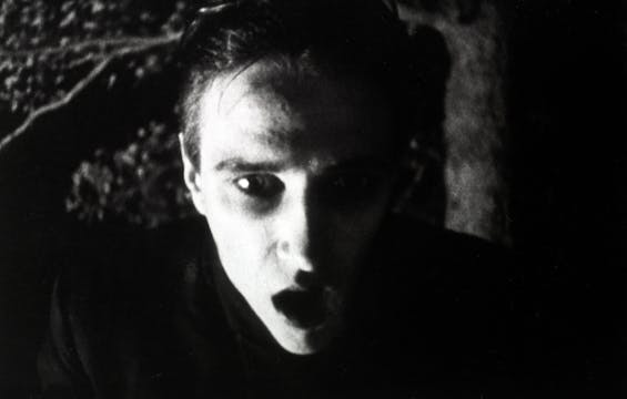 Strasek, the vampire