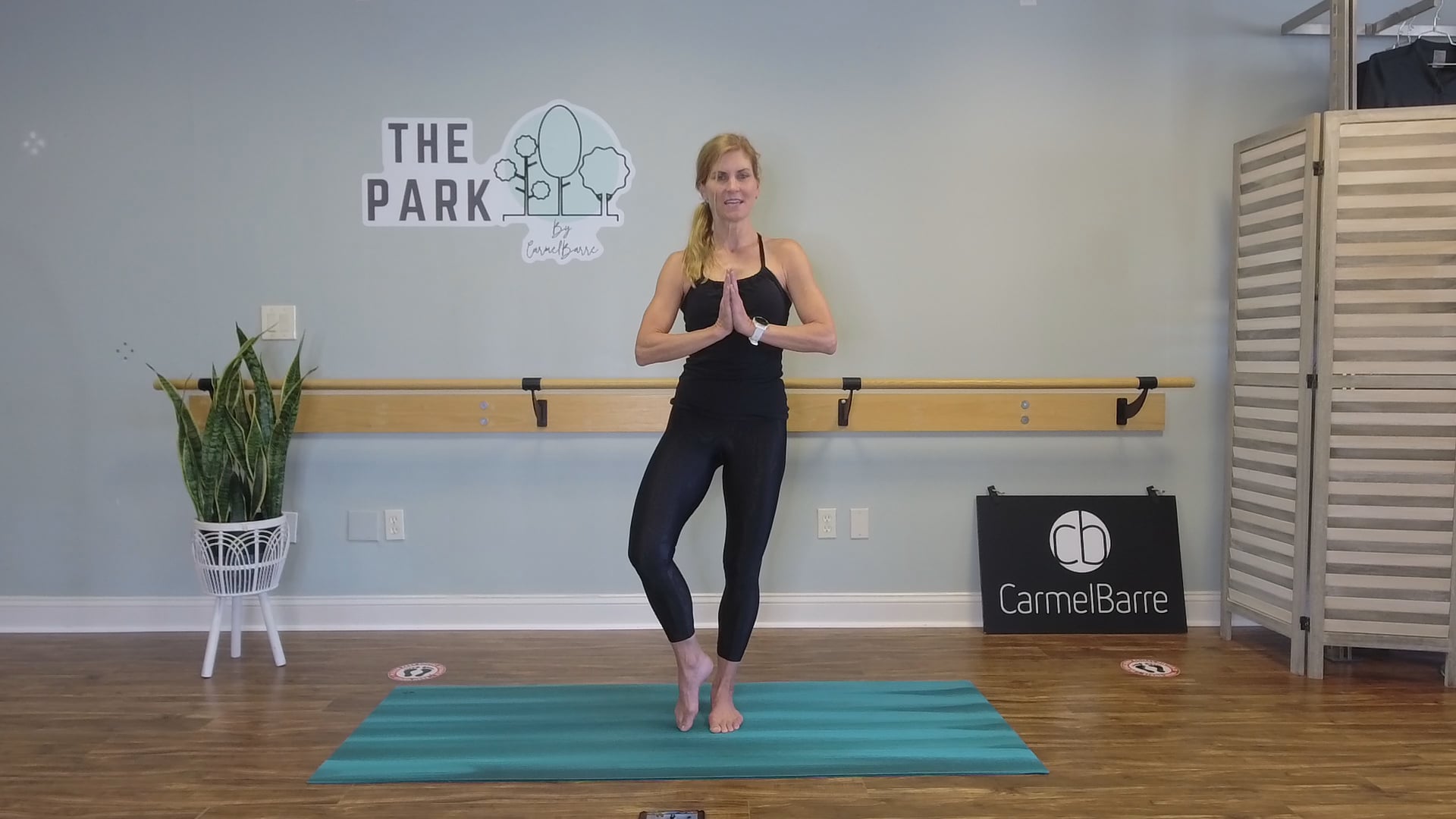 Diane | 15 Min Yoga Basics