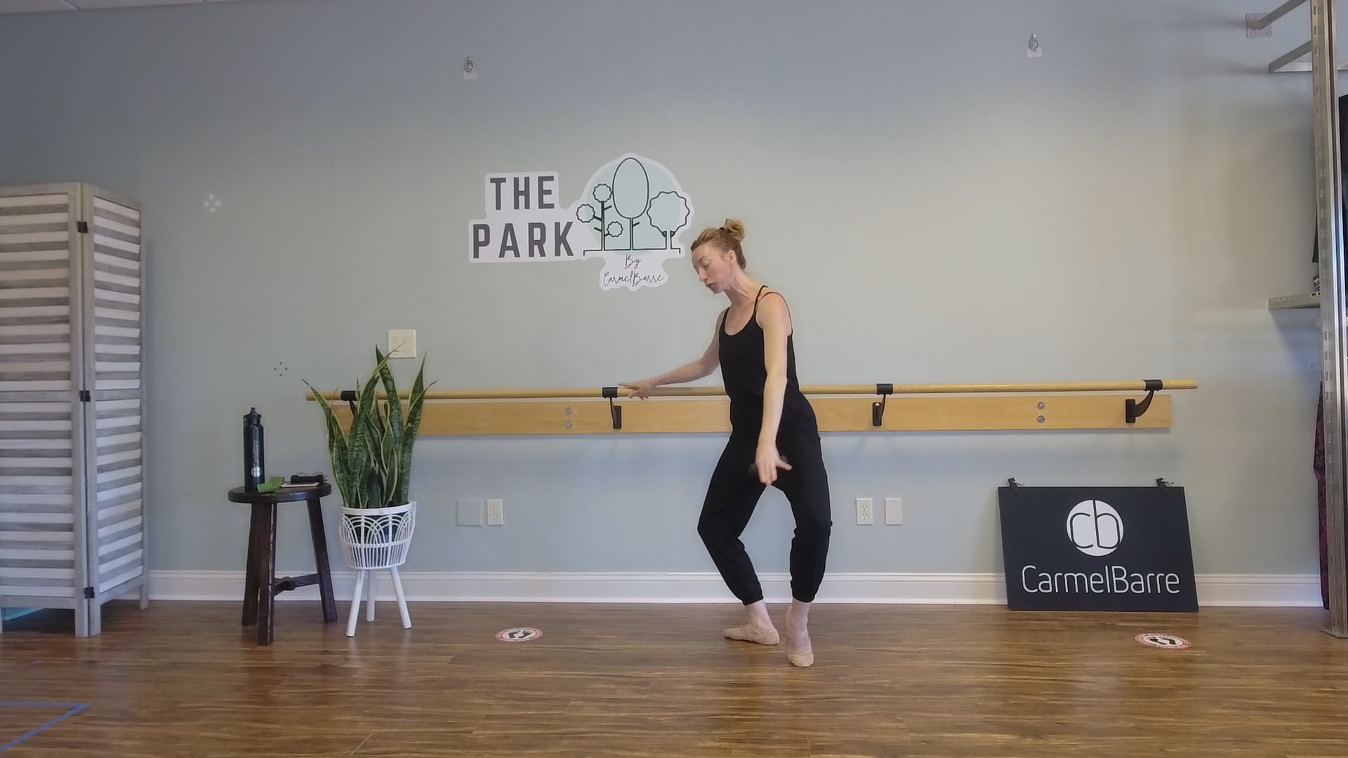 Harmony | 20 Min Ballet Barre Conditioning