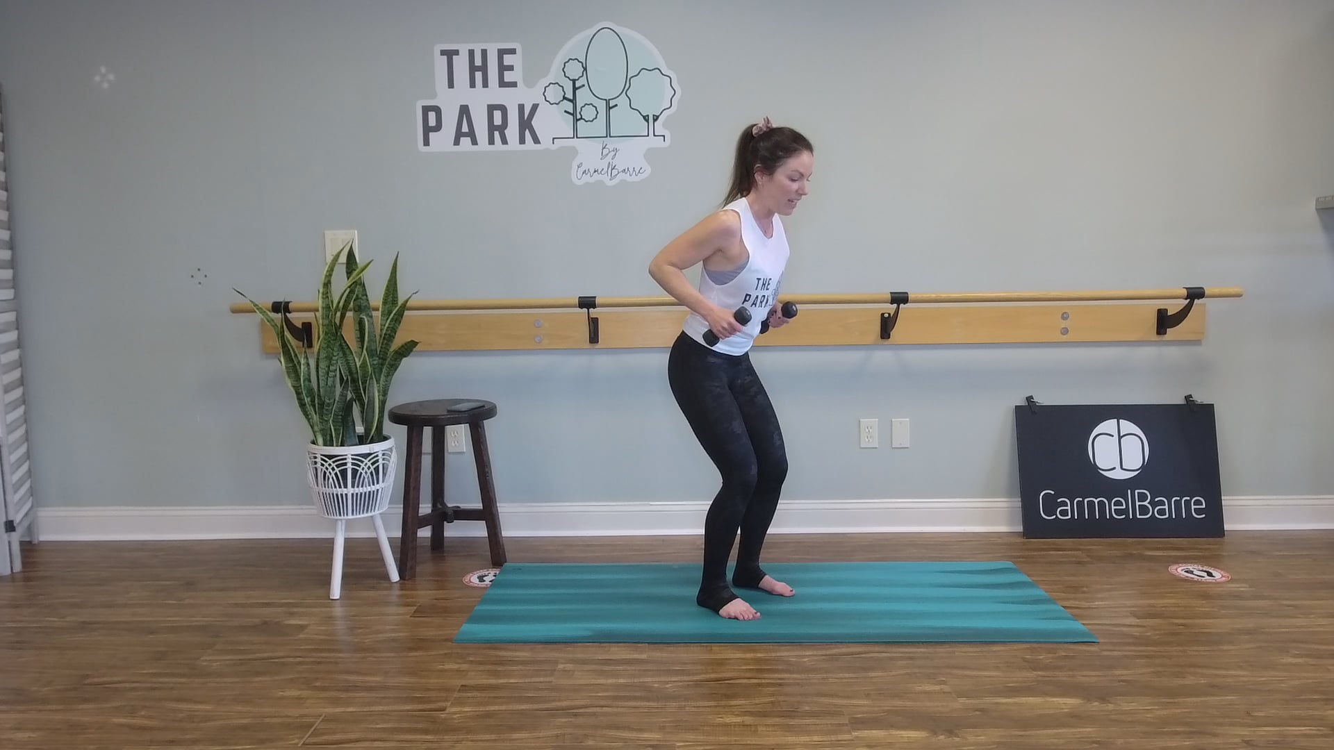 Stacey | 20 Min Barre Express #2