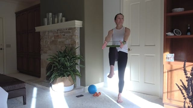 Arianne | 50 Min Zoom Barre Express |...