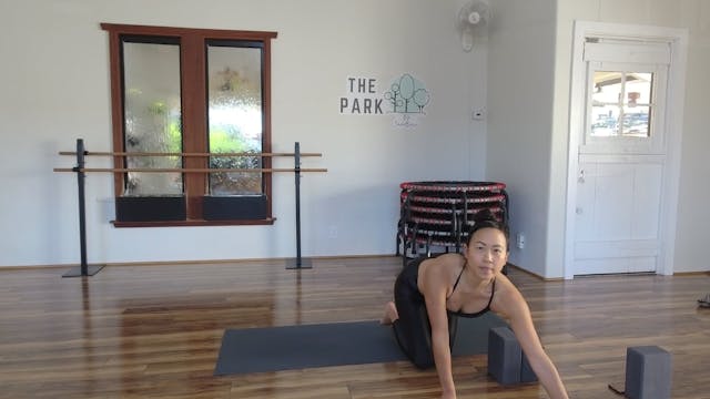 Danielle | Yoga Flow