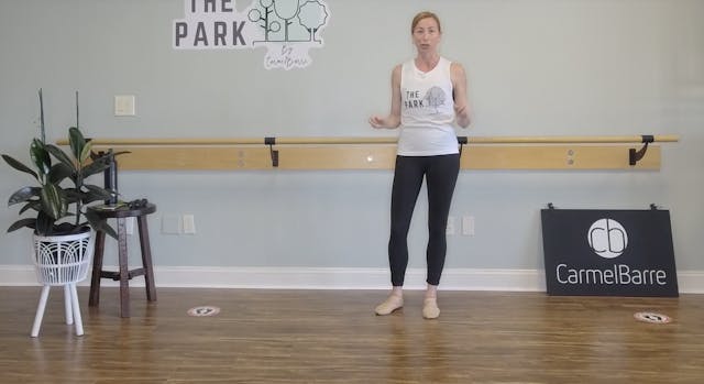 Harmony | 20 Min Ballet Barre