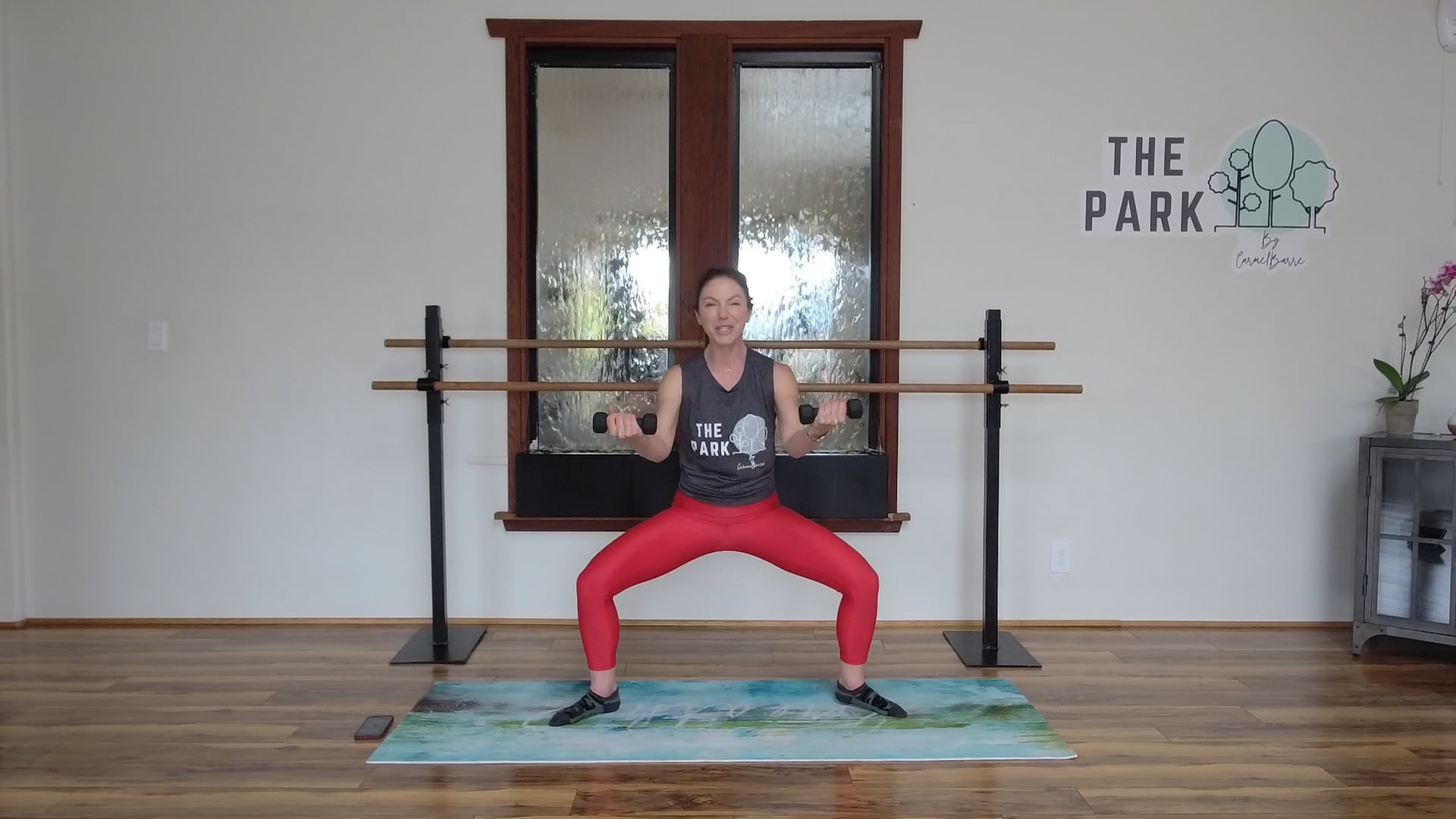 Stacey | Barre Amped 25 Min