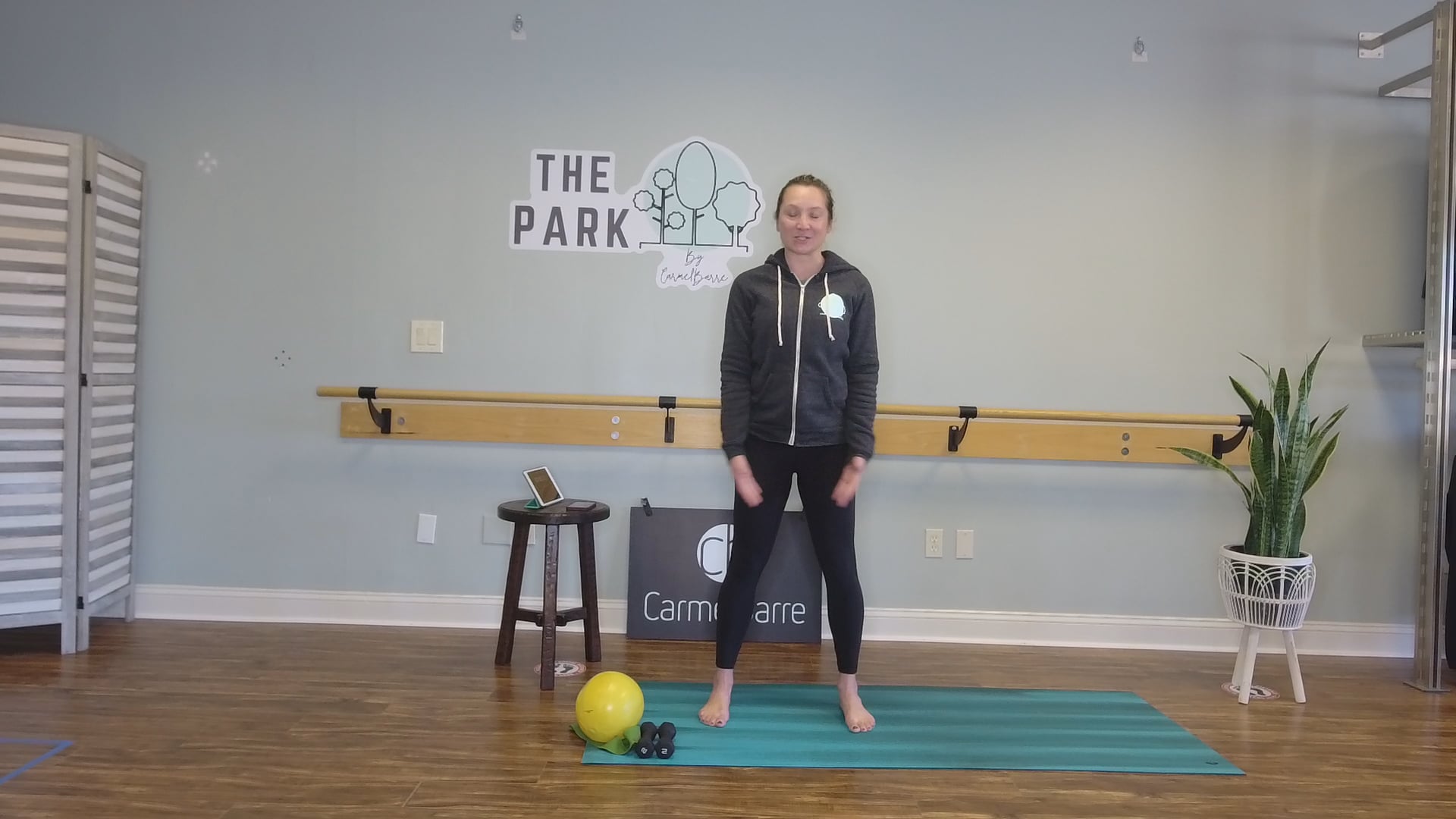 2021 STRONG | Arianne | 30 Min BarreAmped