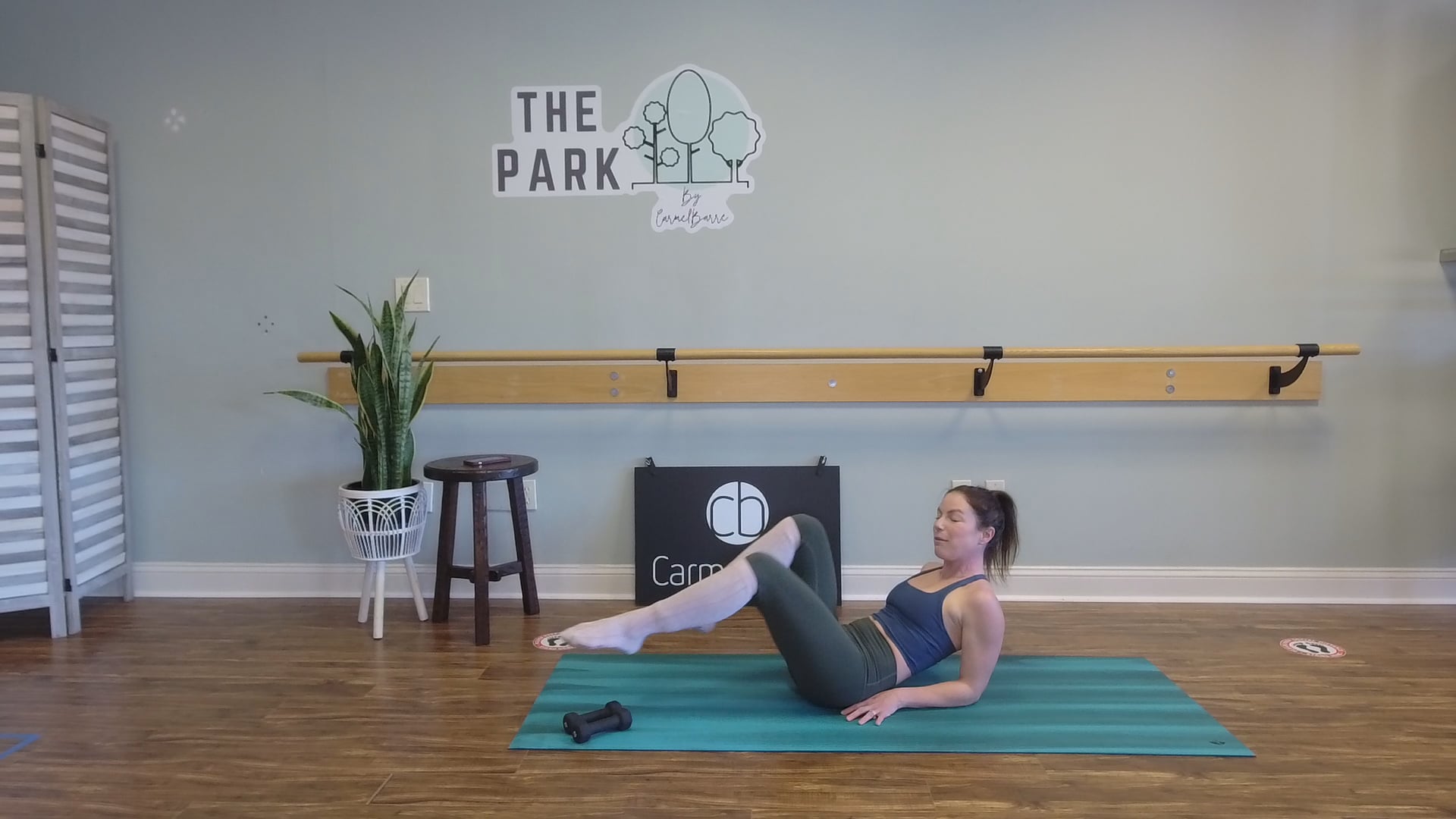 Stacey | 30 Min Barre Express