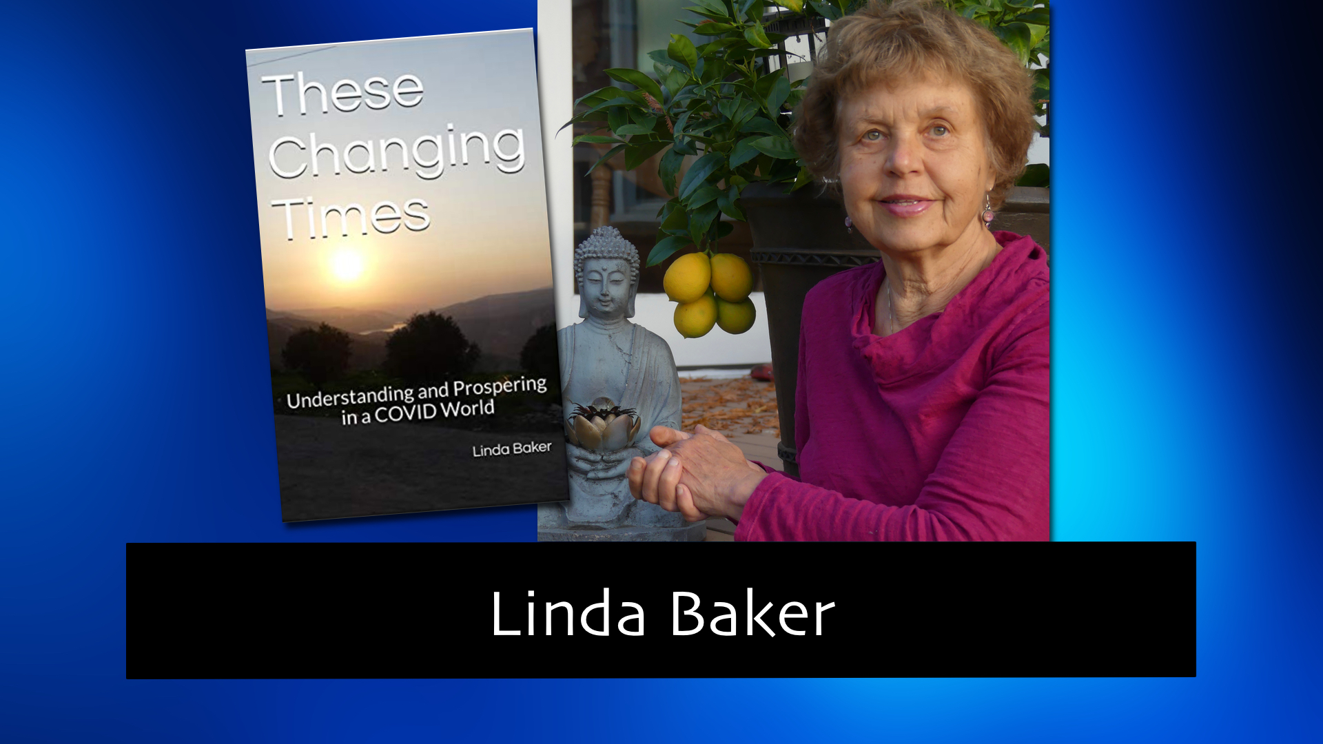 288 Understanding and Prospering in a COVID World with Linda Baker