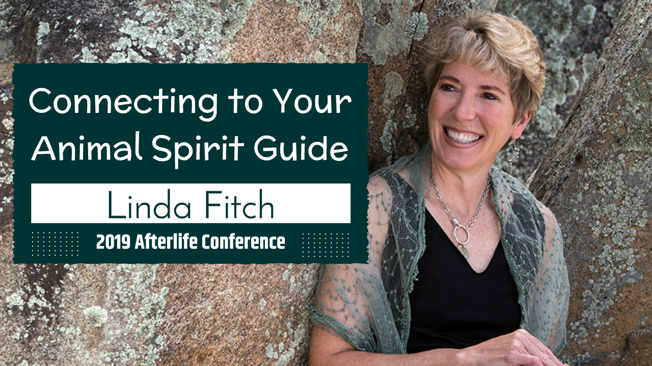 Connecting to Your Animal Spirit Guide with Linda Fitch