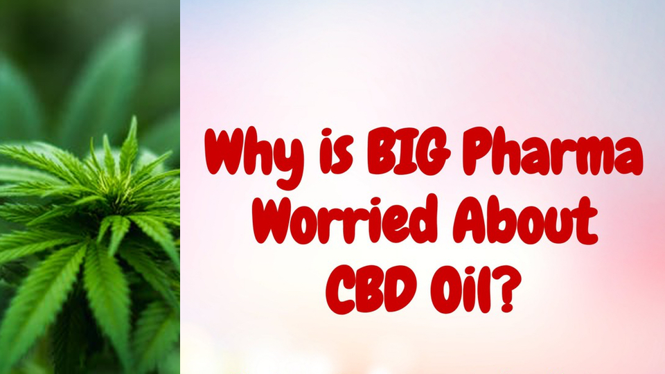 Why is BIG Pharma Worried About CBD Oil?