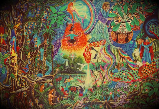 AYAHUASCA NATURE'S GREATEST GIFT