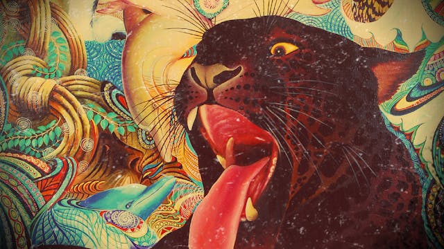 Ayahuasca Nature's Greatest Gift