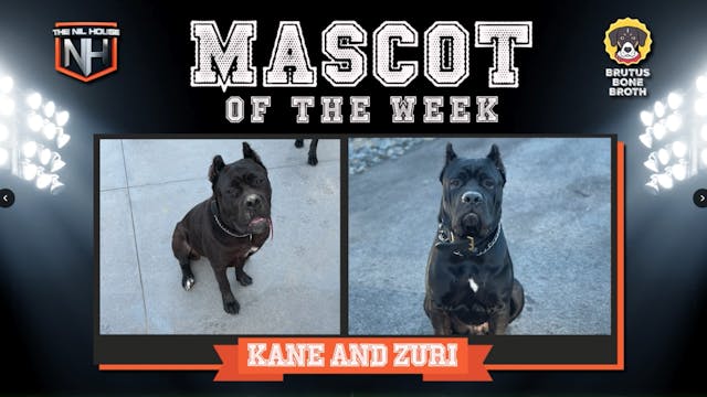 Kane and Zuri: Mascots of The Week