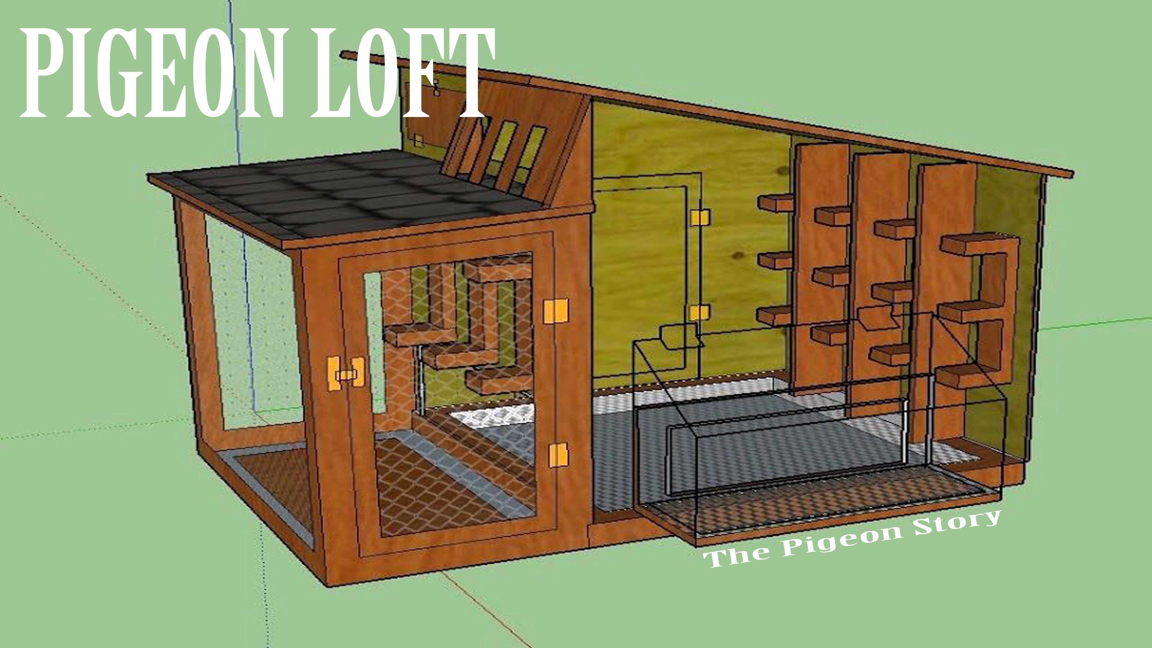  Loft -The Pigeon Story