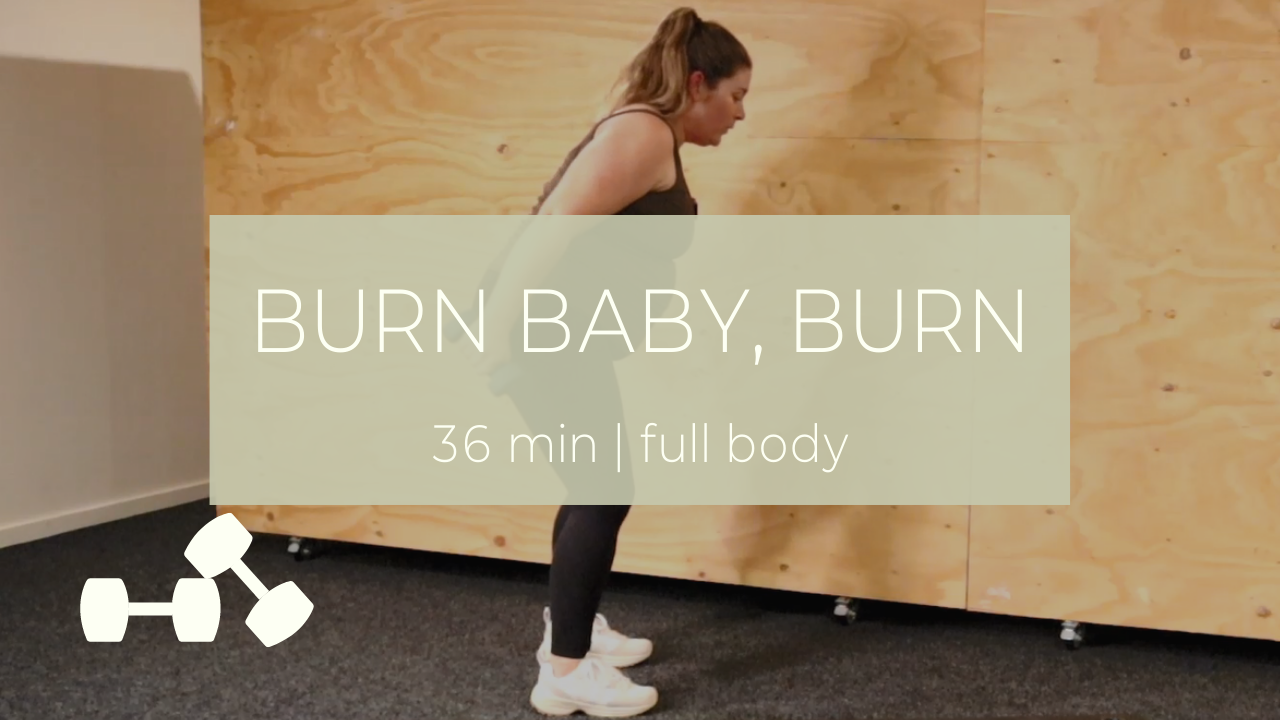 BURN 18 / full body dumbbell ladder