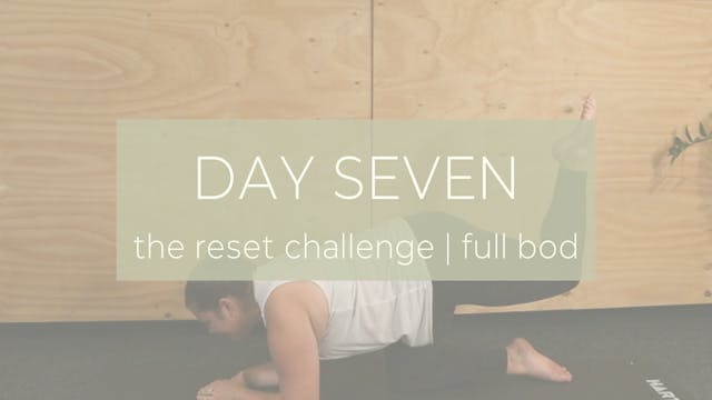 DAY SEVEN / feelin' good like you should