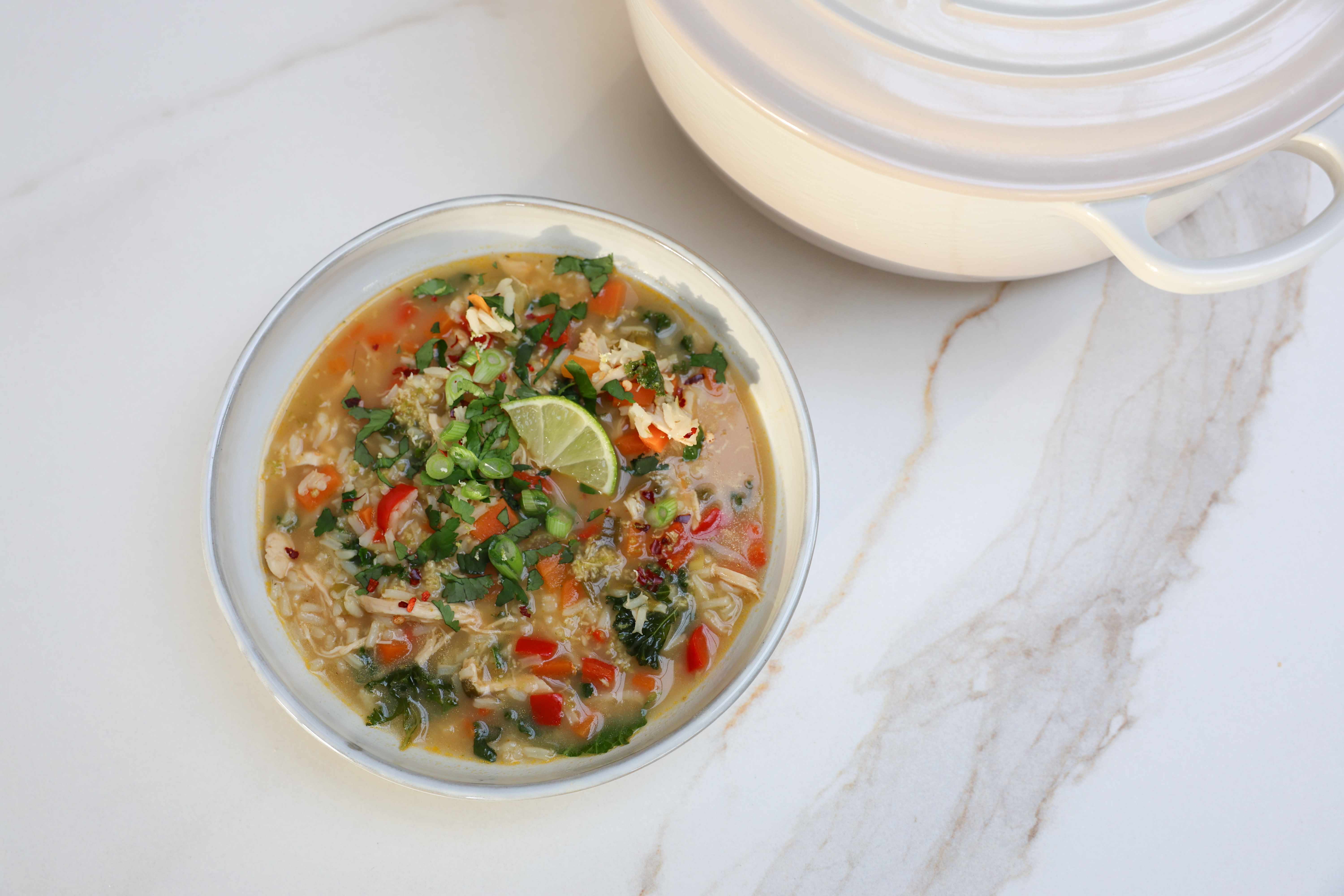 Wholesome Chicken Rice Broth