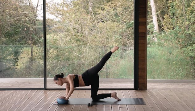 NEW! Full Body Sculpt w/ Weights & Ba...