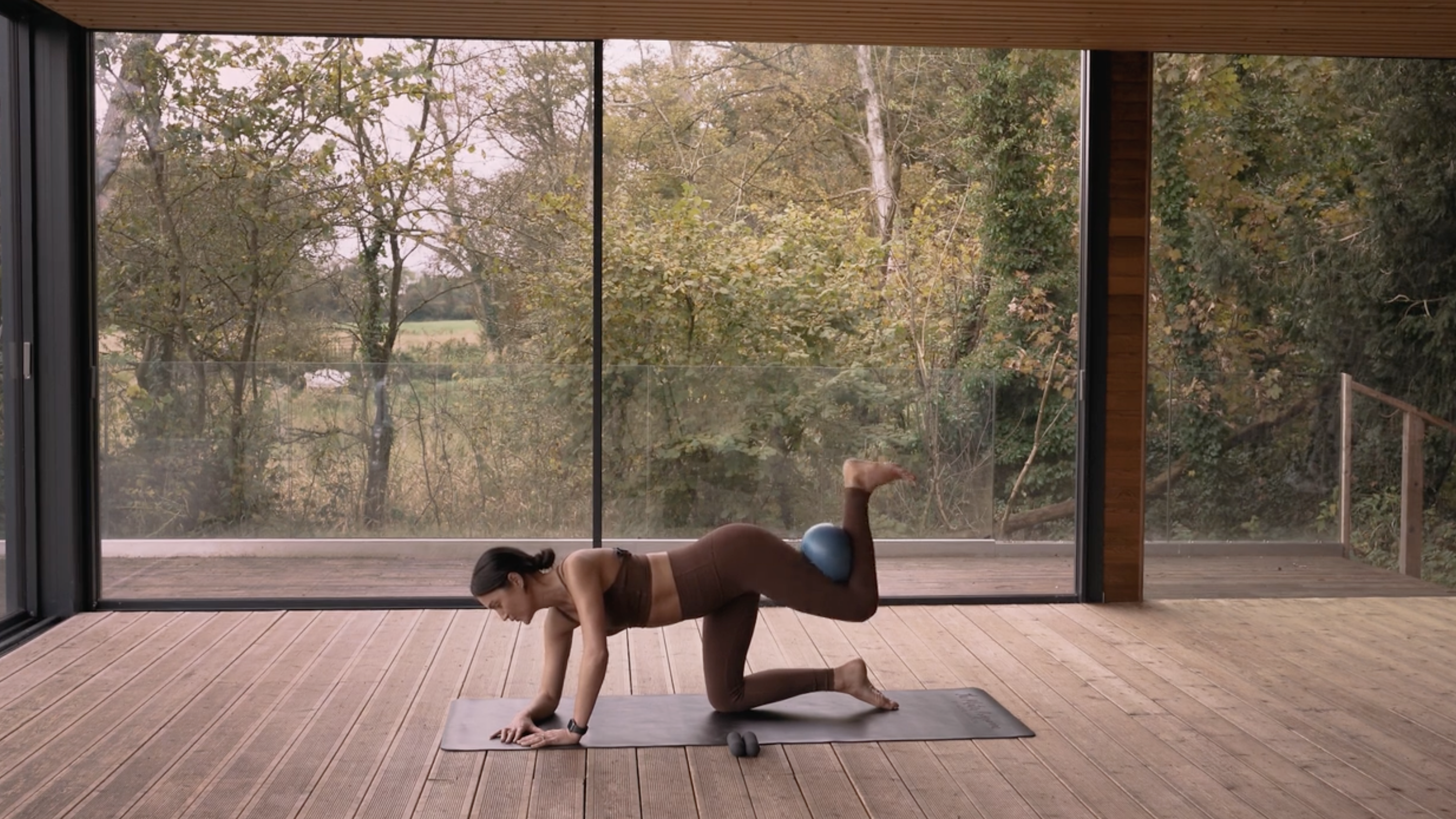 Full Body Sculpt w/ Weights & Ball 1