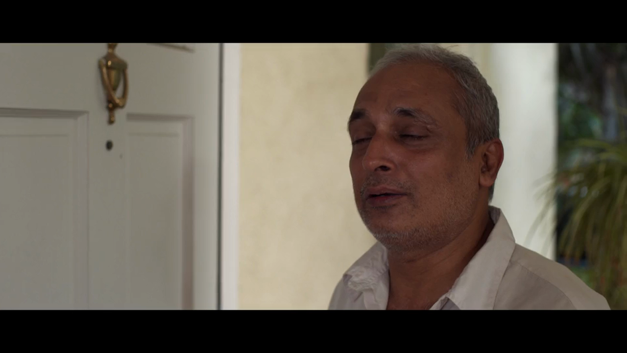 Bonus: What is "The Playback Singer" About?