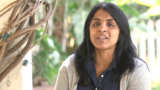 Bonus: Inspiration for the Movie